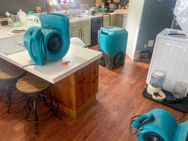 Best Flood damage cleanup  in Princeton Junction, NJ