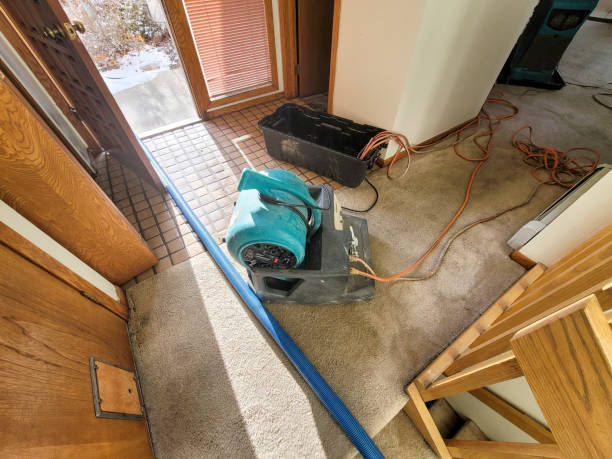 Best Water damage contractors near me  in Princeton Junction, NJ