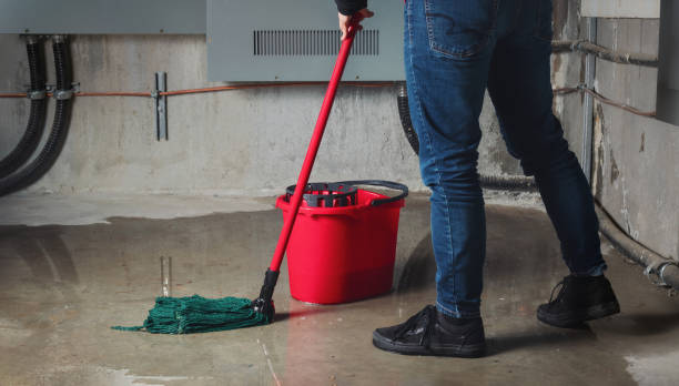 Best 24-hour water damage restoration  in Princeton Junction, NJ