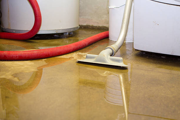 Best Flood restoration services  in Princeton Junction, NJ