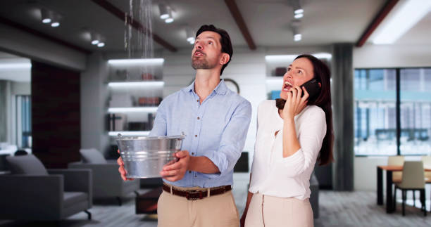 Best Commercial water damage restoration  in Princeton Junction, NJ
